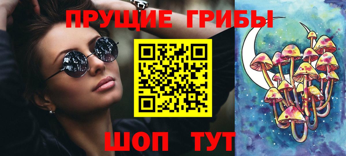 Галлюциногенные грибы Cubensis Черняховск