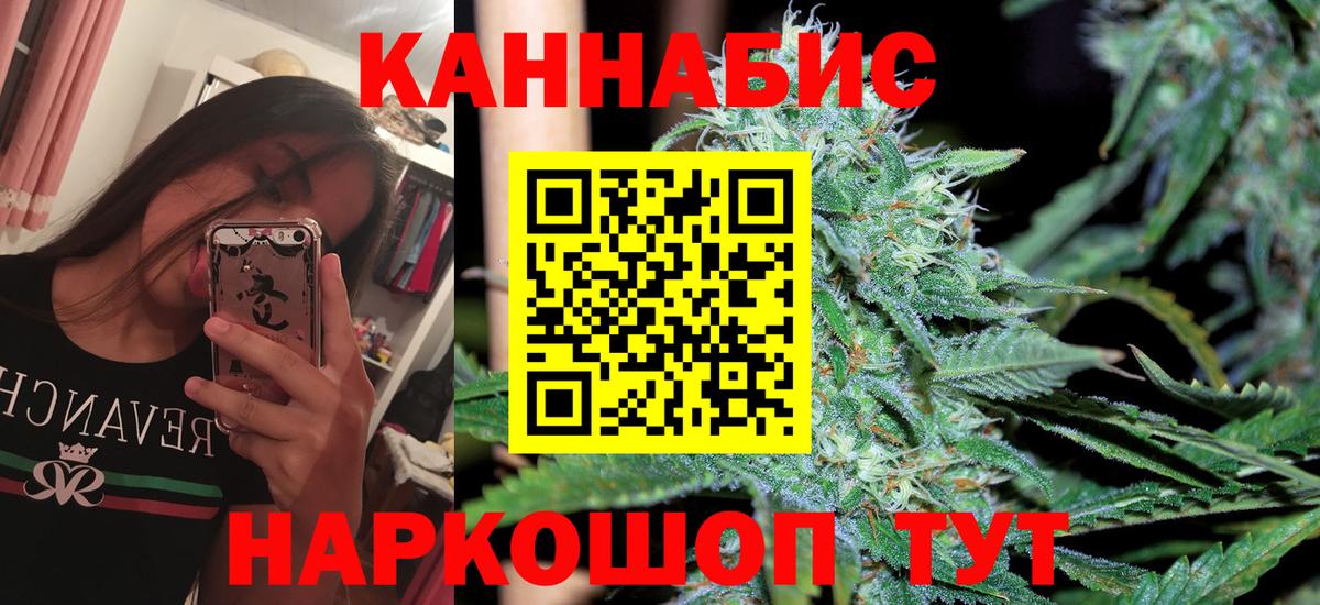 Бошки Шишки план Черняховск